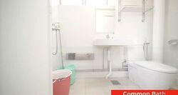 Blk 303 Shunfu Gardens (Bishan), HDB 5 Rooms #553613091